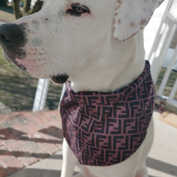 Dog bandanas 🐕 multiple styles - Picture 4 of 6